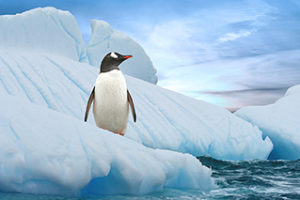Antarktyda, wyprawa, fotografia